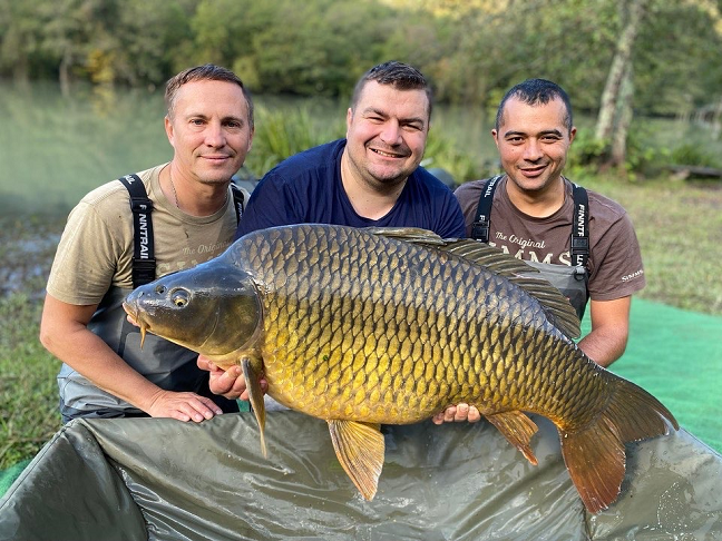 Команда ASV Code